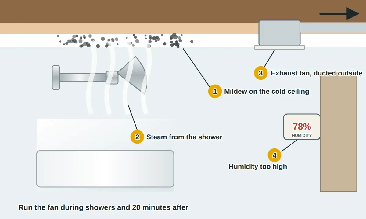 Bathroom cutaway: steam rising from a hot shower and condensing on a cold ceiling under the attic, black mildew specks on the ceiling, an exhaust fan with its duct running outside, a humidity reading, and the door and window.