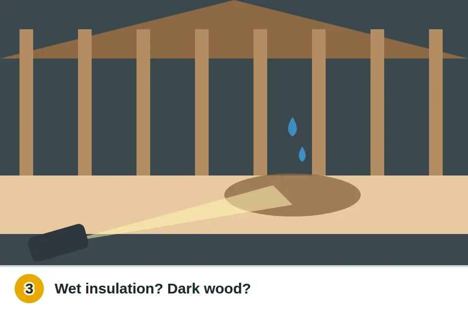 Flashlight pointed at wet, dark insulation and a stained rafter in the attic above the stain