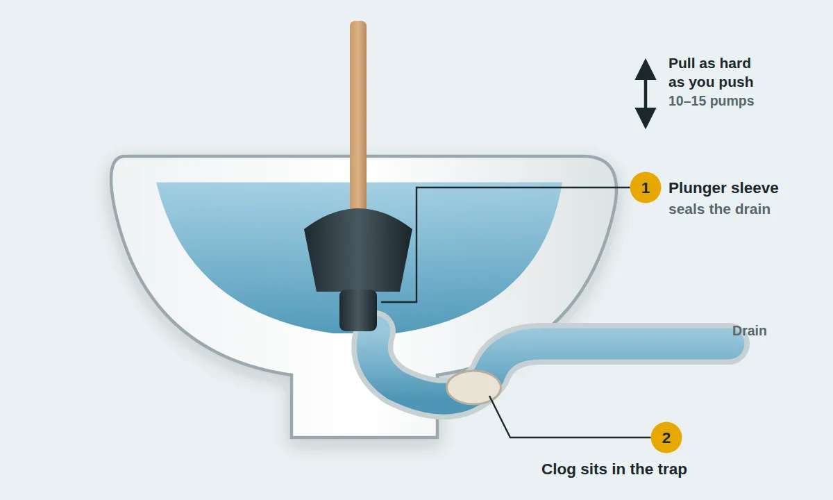How to plunge a toilet: a flange plunger sealed in the bowl drain with the clog in the trap