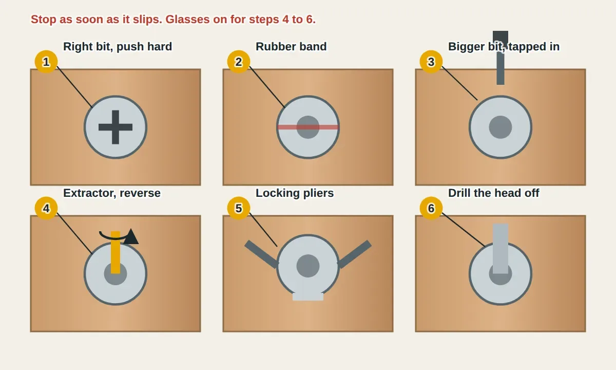 Six ways to remove a stripped screw, shown on screw heads in wood from easiest to hardest: the right size bit pushed in hard, a wide rubber band between the bit and the head, a slightly larger bit tapped in with a hammer, a screw extractor biting into a pilot hole while turning counterclockwise, locking pliers clamped on a raised head, and a drill bit cutting the head off so the shank can be turned out.