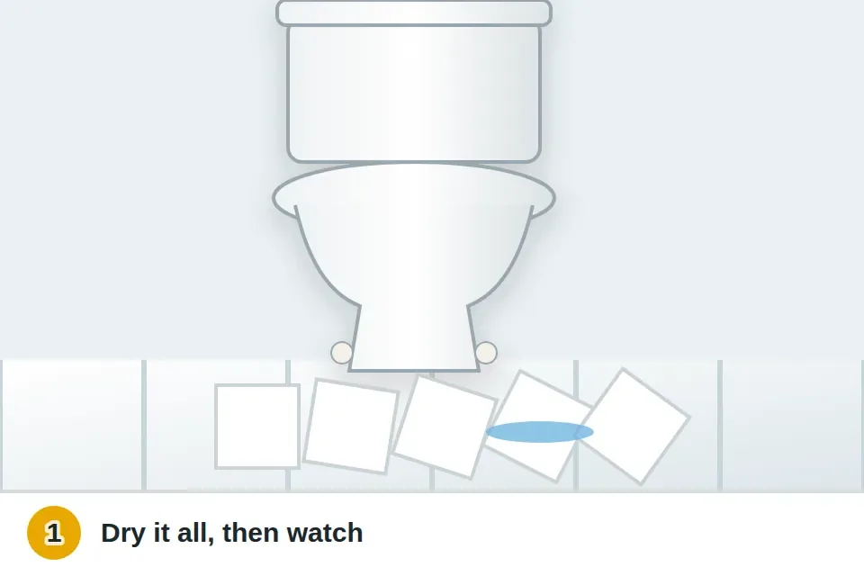 Toilet paper laid around the base of a dried-off toilet to show where water appears after flushing