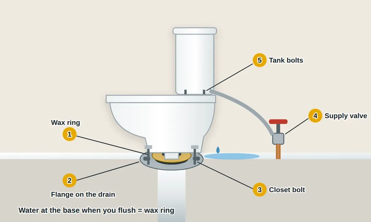 Cutaway of a toilet on the bathroom floor: the wax ring sealing the toilet's outlet horn to the flange on the drain pipe, the closet bolts through the flange, the supply line and shutoff valve, and the tank bolts, with water seeping out at the base.