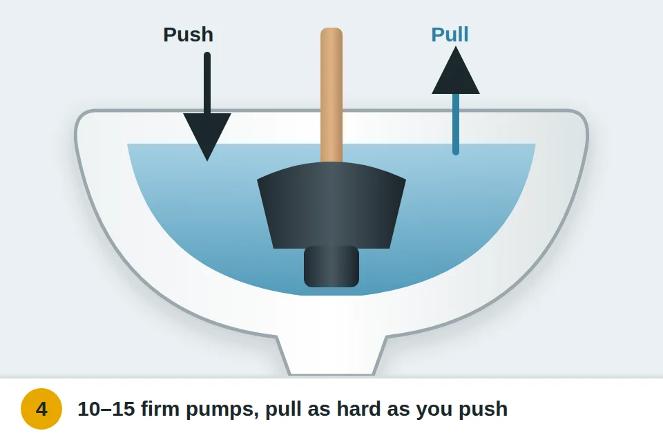 Flange plunger in a toilet with arrows showing a firm push down and an equally firm pull up
