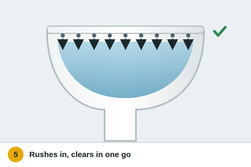 Water rushing in from under the rim and the bowl clearing in one flush