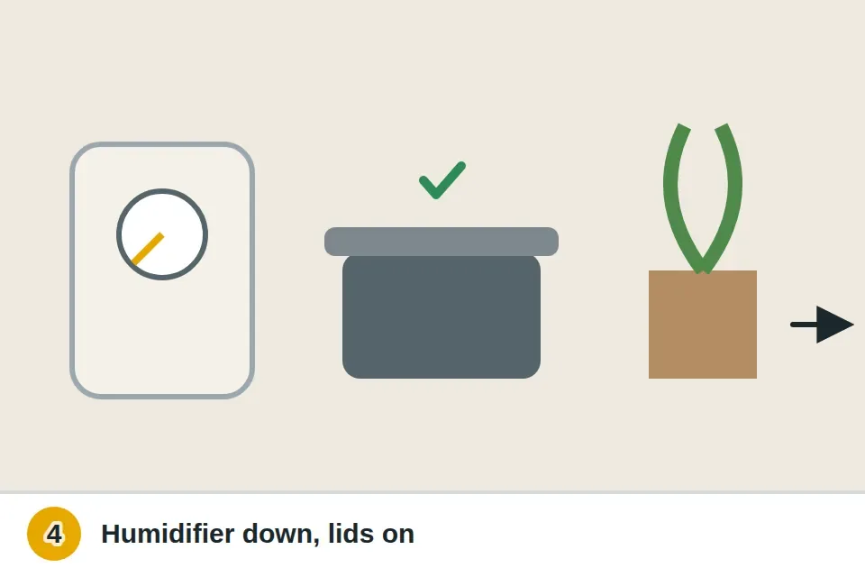 Humidifier turned down, a lid on a boiling pot and plants moved away from the window